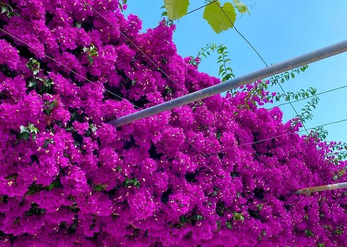 Hotel apartamentowy Tomi Saranda