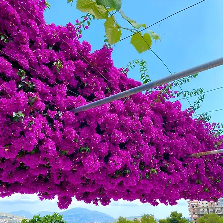 Hotel apartamentowy Tomi Saranda